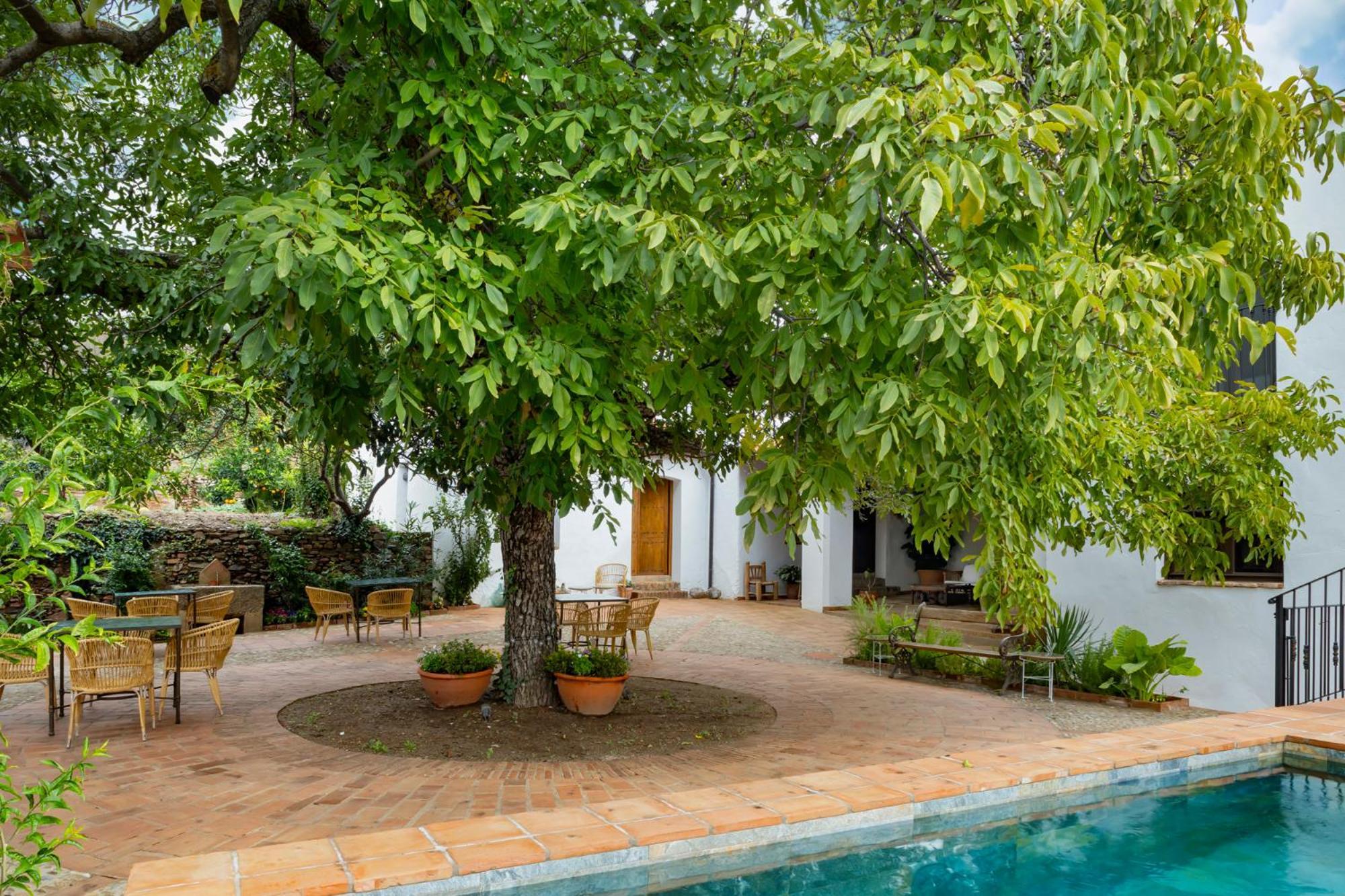 Apartamentos Turisticos El Patio Del Nogal Гвадалупе Экстерьер фото